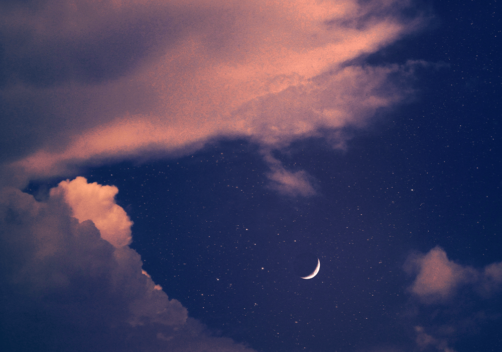 Sternzeichen Skorpion: Datum, Eigenschaften und Partner:innen