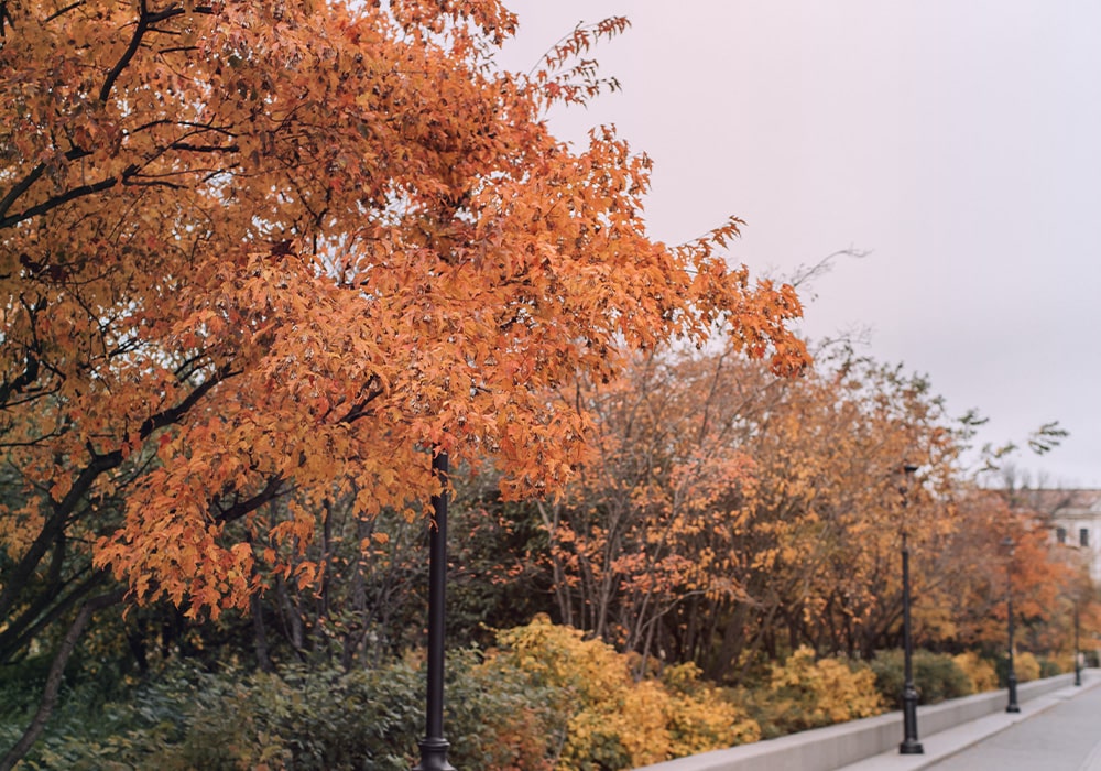 7 Tipps für die Hautpflege-Routine im Herbst