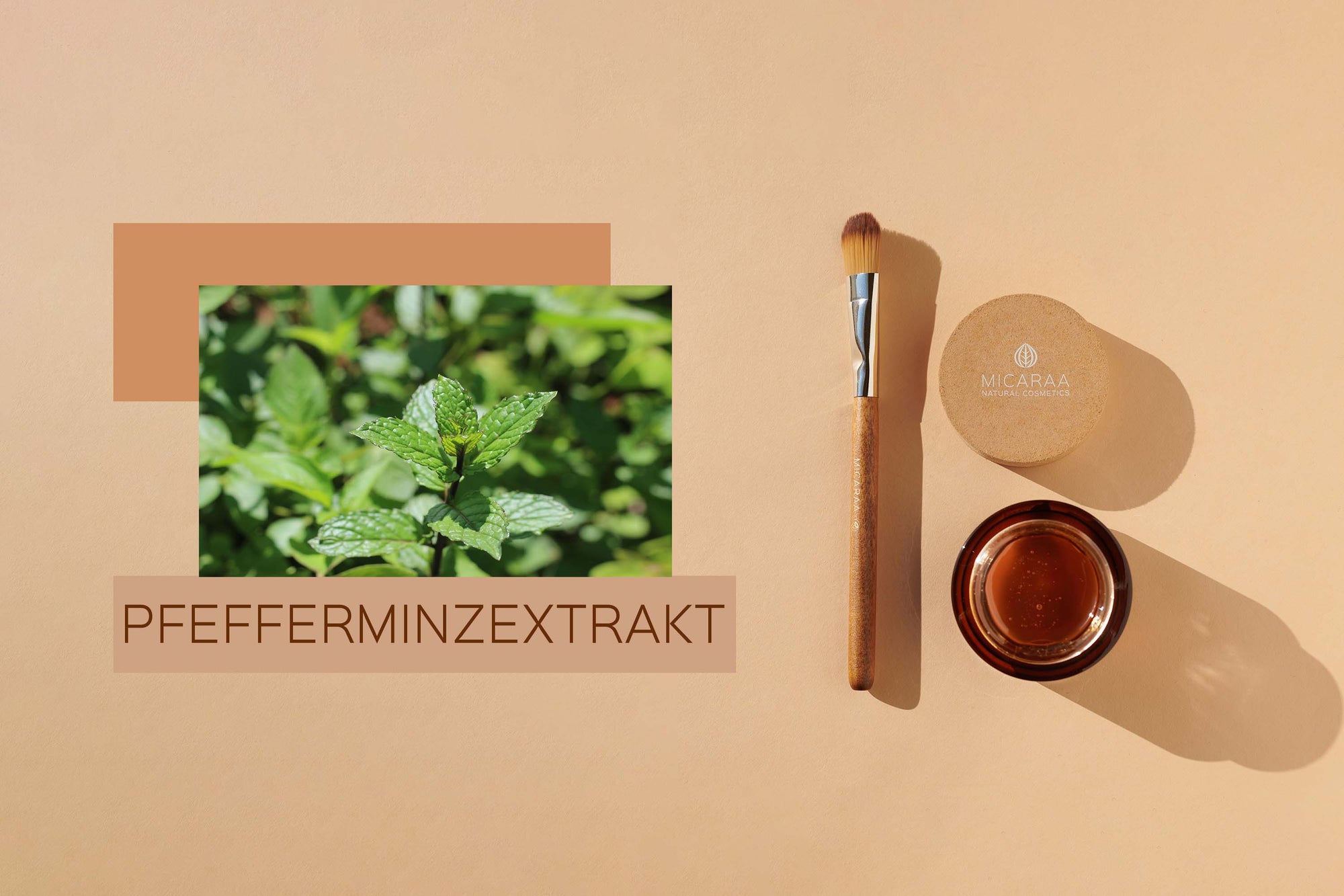 Pfefferminzextrakt in der Kosmetik