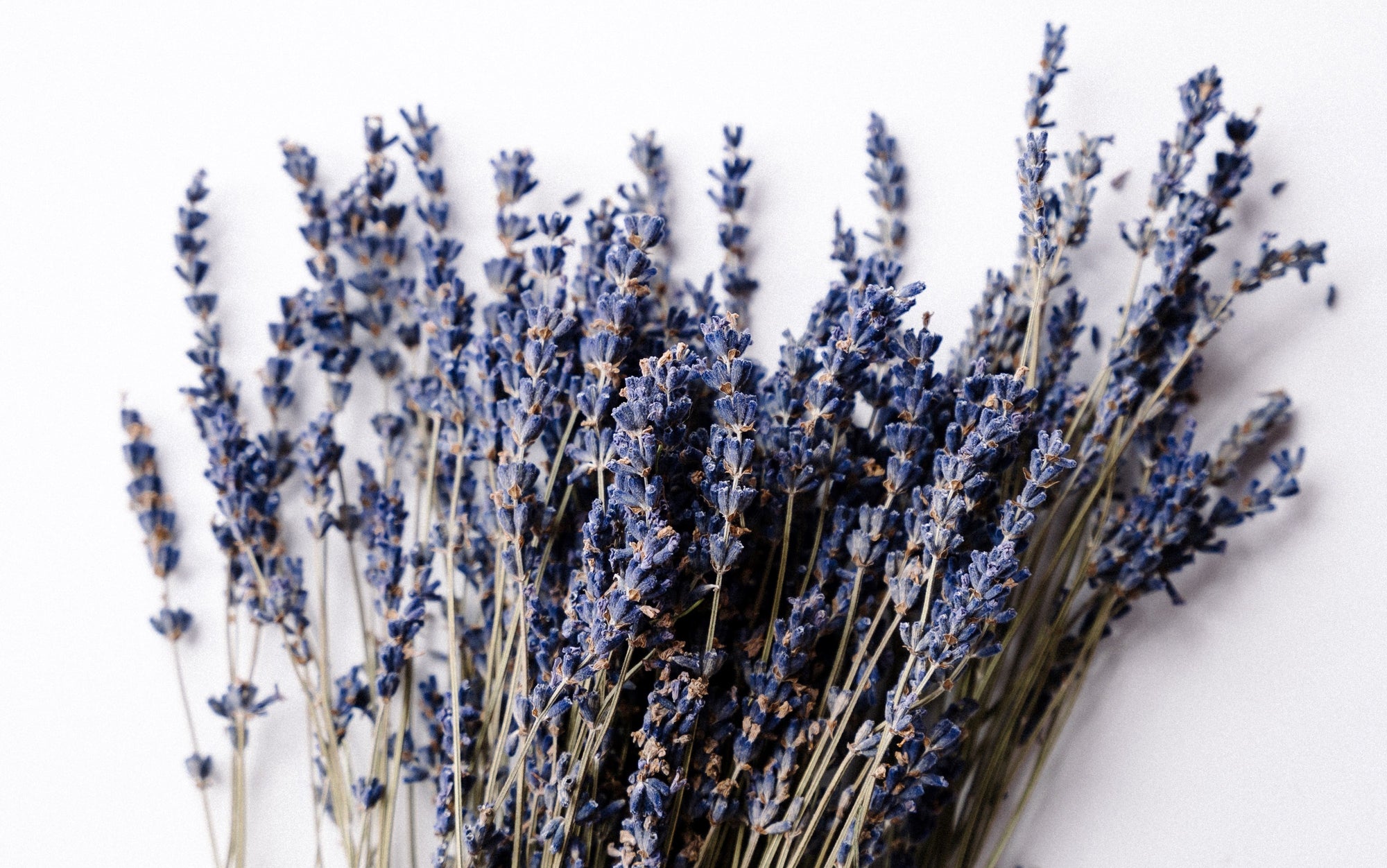 Ist Lavendel gut für die Haut?