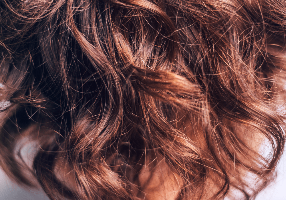 Aloe Vera im Shampoo für strahlend glänzende Haare