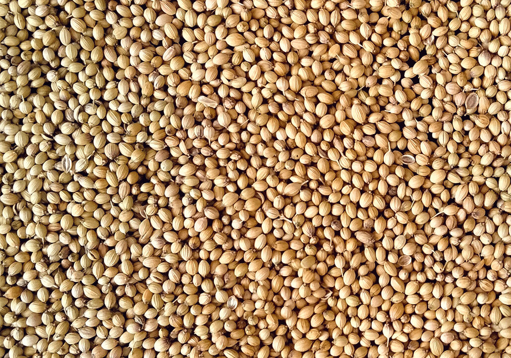 Das glutenfreie Spelzgetreide hat eine stärkende Wirkung auf Haare, Haut und Nägel