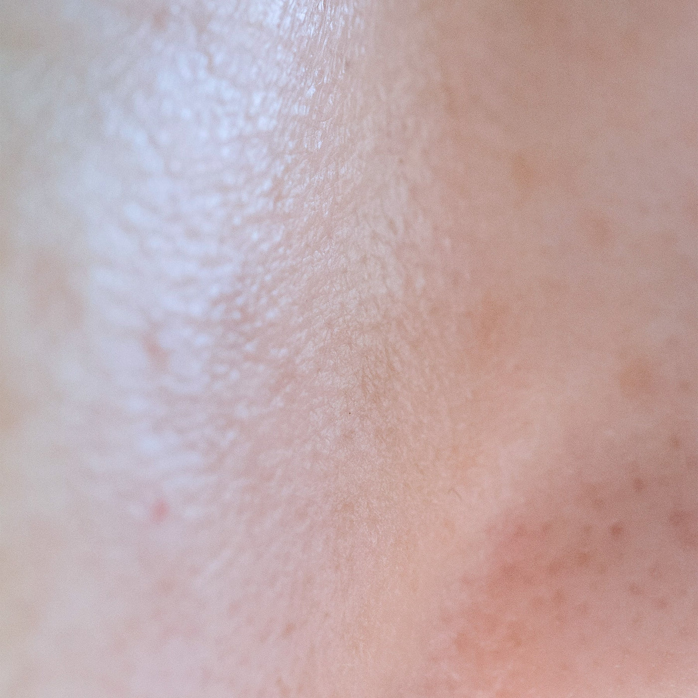 Micaraa Gesichtscreme mit Bio Aloe Vera