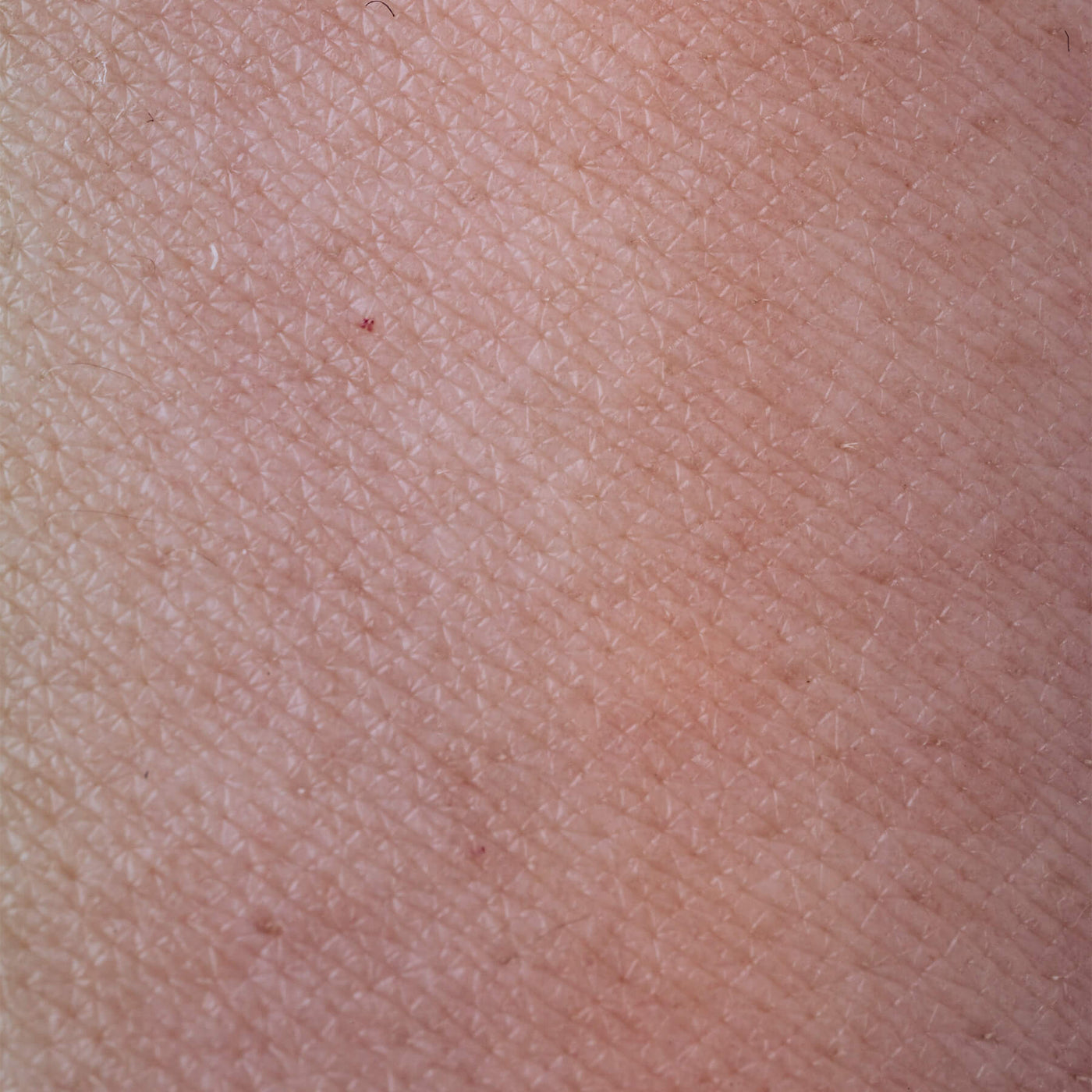 Micaraa Calming Essentials Set Sensible Haut