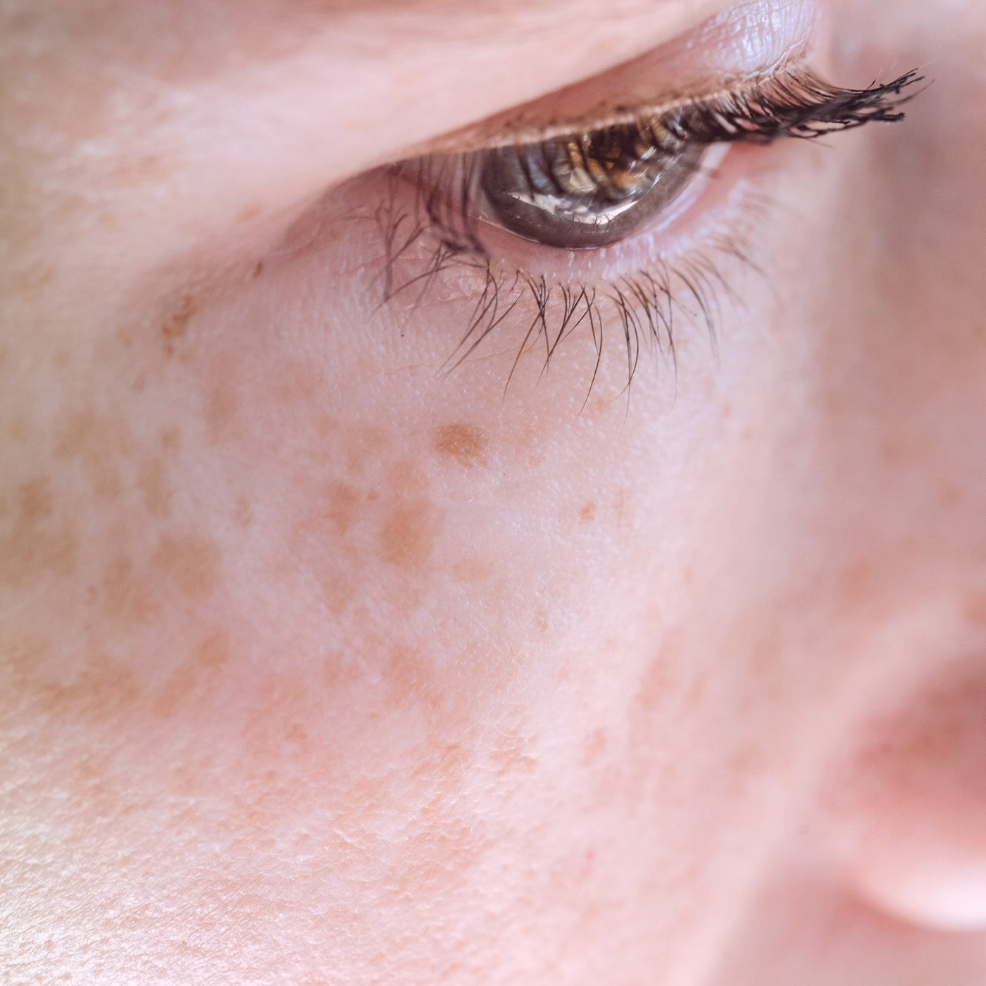 Micaraa Gesichtscreme mit Bio Aloe Vera