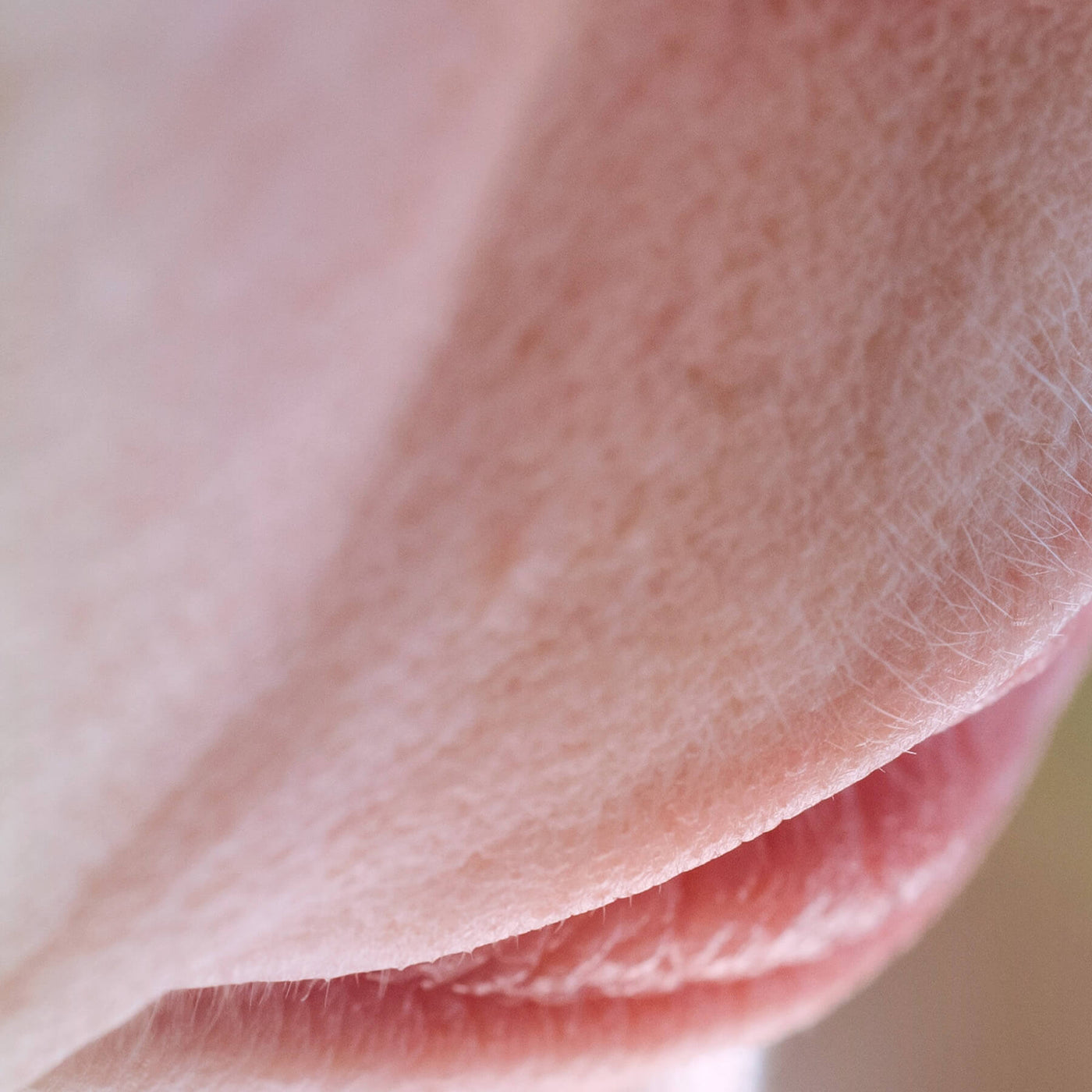 Micaraa Lippenbalsam mit Sheabutter