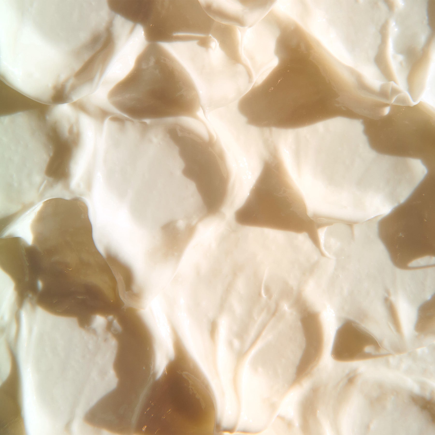 Micaraa Gesichtscreme mit Bio Aloe Vera für normale Haut und Mischhaut