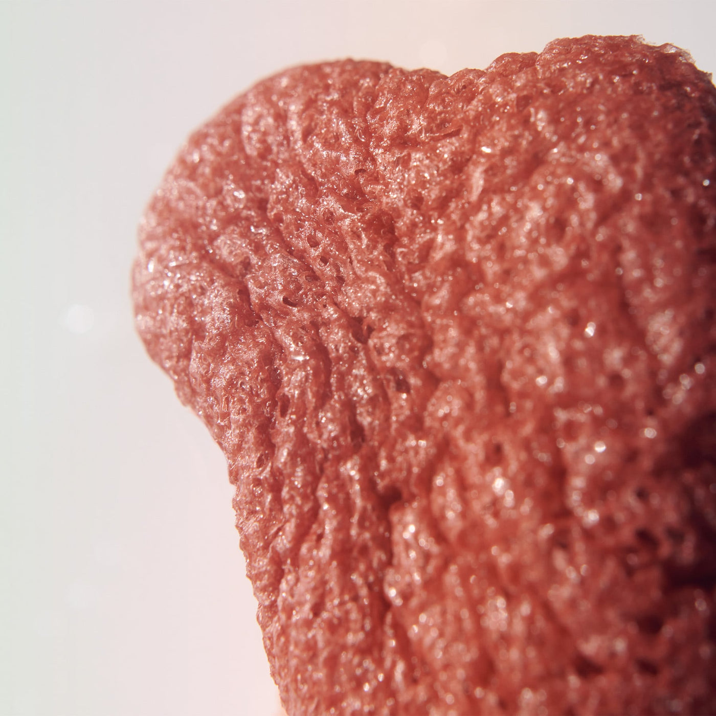 Micaraa Konjacschwamm mit roter Tonerde für sensible Haut