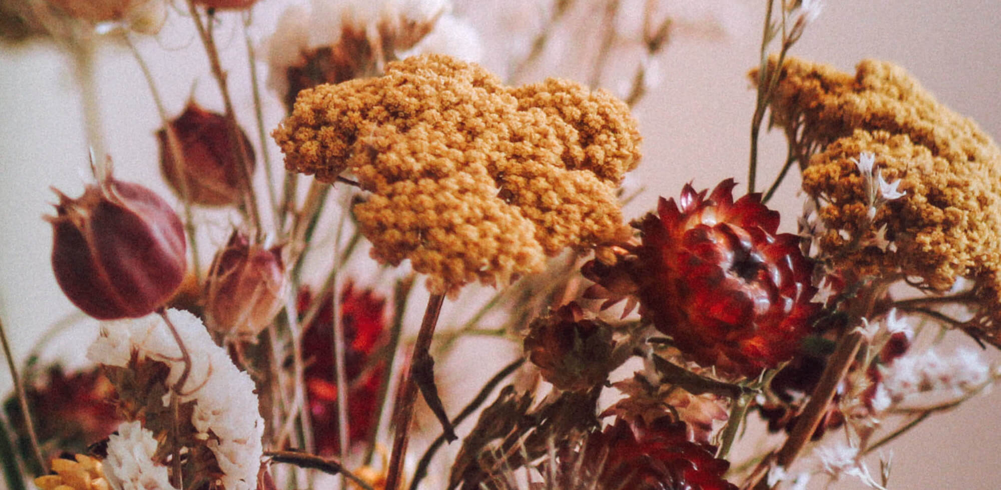 Micaraa After Shave Balsam mit Teebaumöl für alle Hauttypen