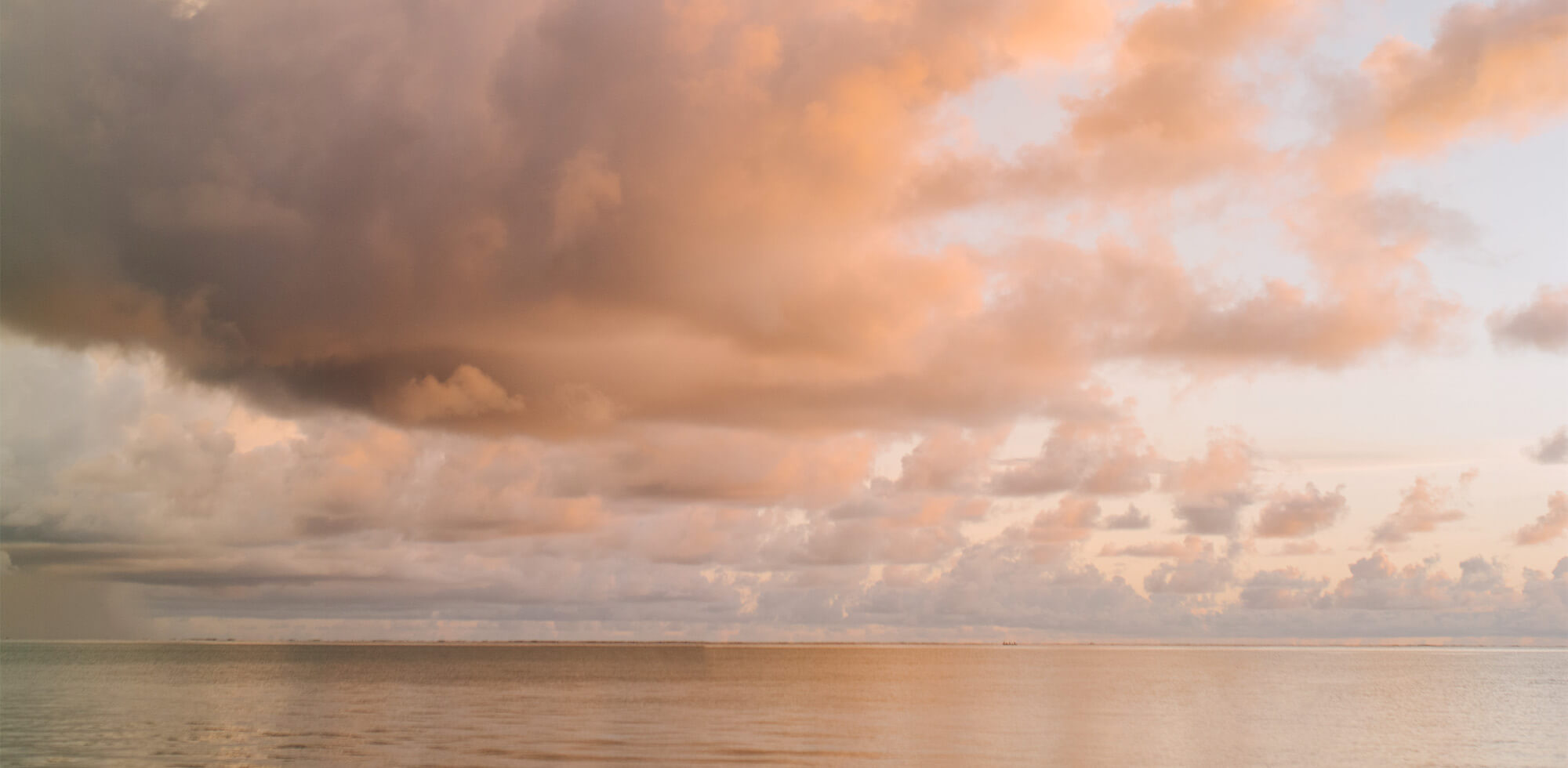 Micaraa Augenserum mit Vitamin C für alle Hauttypen